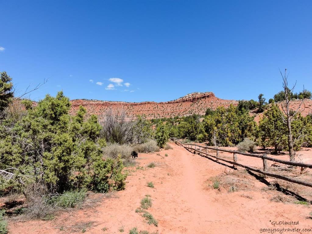 Luxury 3br In Upscale Neighborhood Pet Friendly *